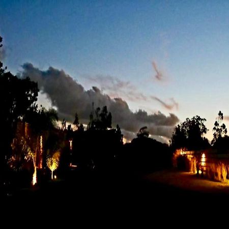Hjem Studios La Pedrera Dış mekan fotoğraf